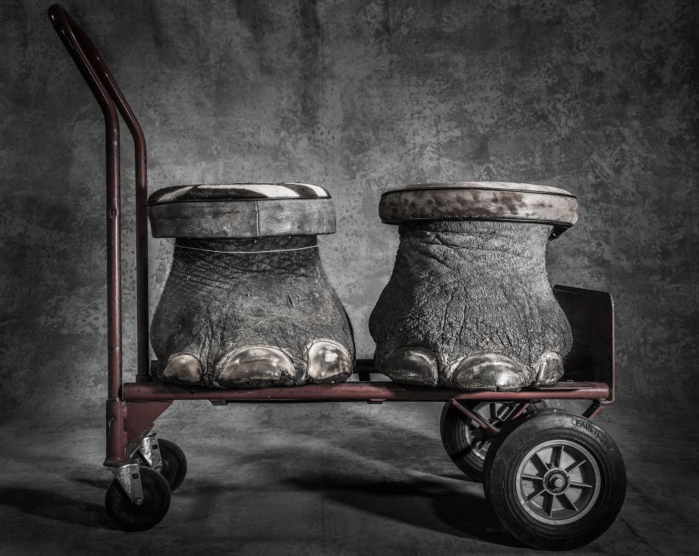 Agender párját mutatja be a fotós a Magnum fotópályázat győztes képein Agender párját mutatja be a fotós a Magnum fotópályázat győztes képein