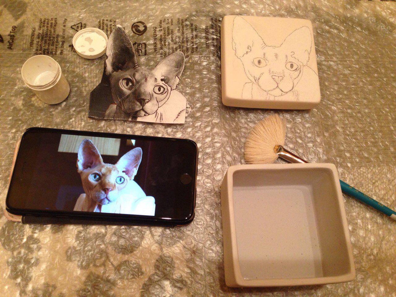 Megszállott macskarajongó, aki mindenből csak cicásat vesz – ismerjétek meg Kéky Kirát, aki elsőként vett Magyarországon kopasz macskát