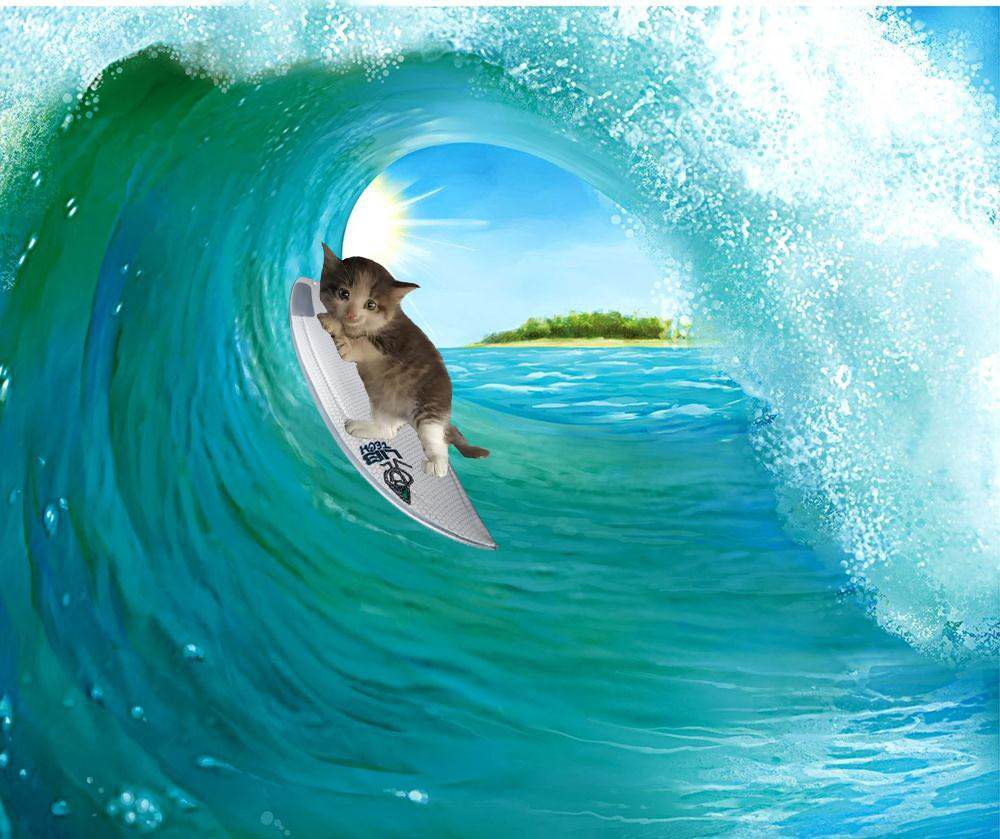 Egy photoshop háború miatt utazza körbe a világot a tündéri kiscica - cuki fotók