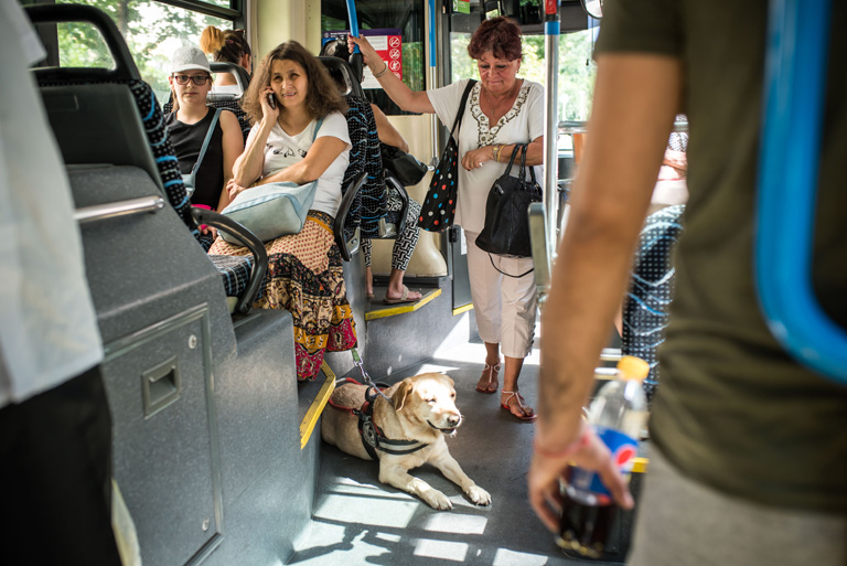 A vak tanárnő semmit nem lát, de pontosan érzékel mindent, ami körülötte történik