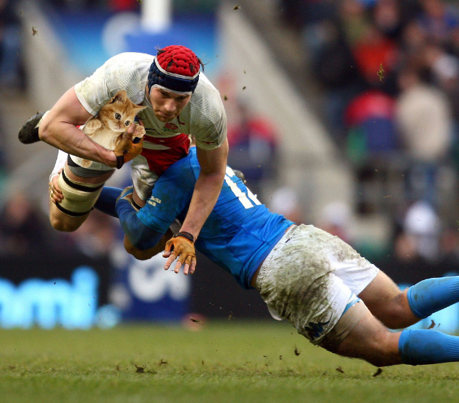 Macskalabda: nincs is cukibb, mint amikor a vízilabdát cicákkal játszák