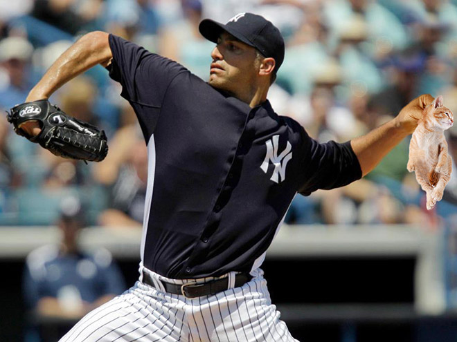 Macskalabda: nincs is cukibb, mint amikor a vízilabdát cicákkal játszák