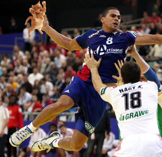 Macskalabda: nincs is cukibb, mint amikor a vízilabdát cicákkal játszák