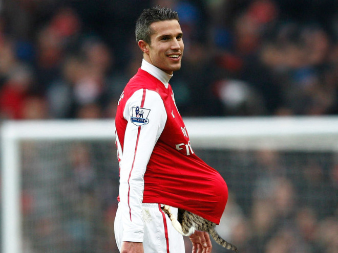 Macskalabda: nincs is cukibb, mint amikor a vízilabdát cicákkal játszák