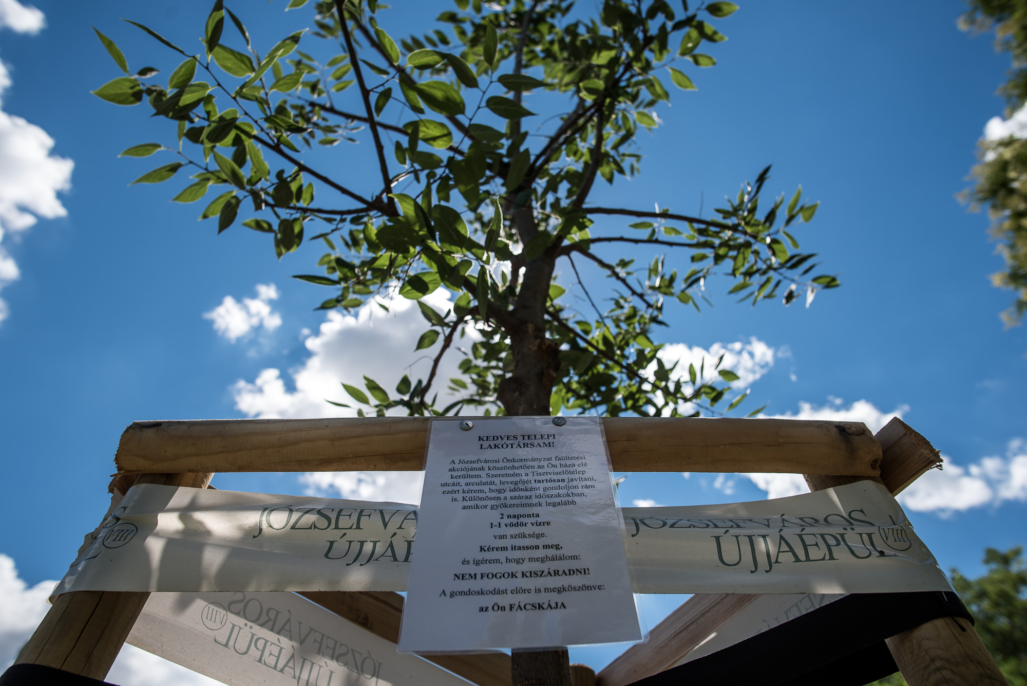 Ehhez a házhoz 130 éve nem nyúltak - pesti utcák, ahol megállt az idő