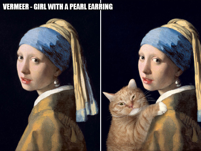 Macskavantgárd - avagy a kövér macskák találkozása az elfolyó idővel