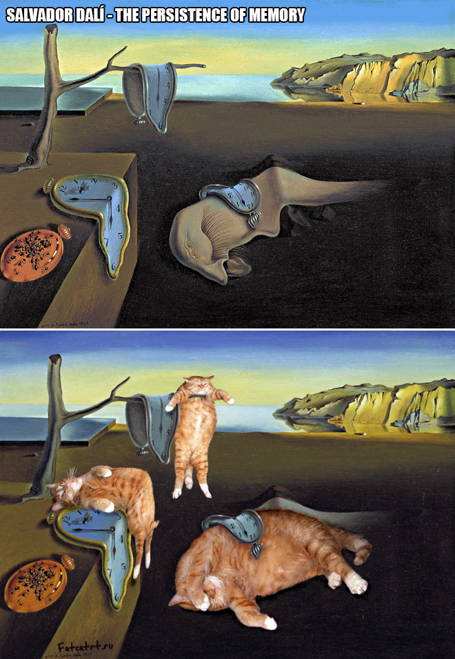 Macskavantgárd - avagy a kövér macskák találkozása az elfolyó idővel