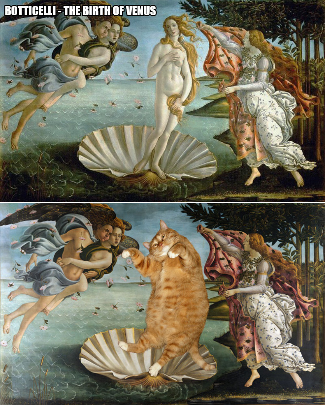 Macskavantgárd - avagy a kövér macskák találkozása az elfolyó idővel