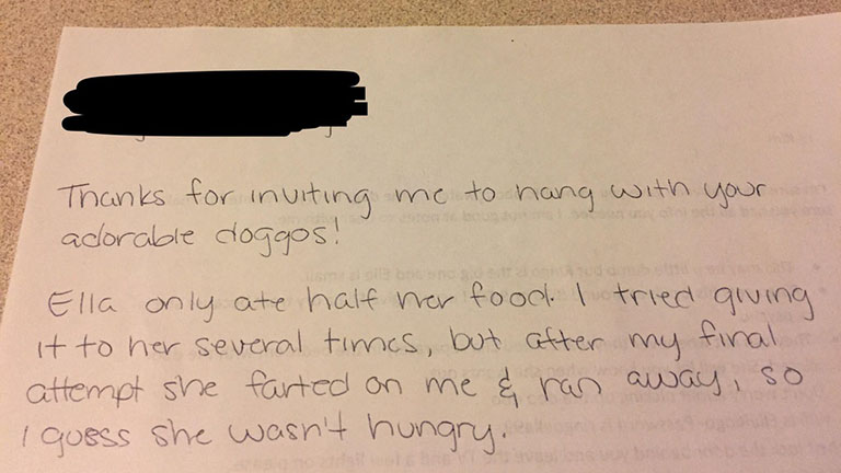 Ez a levél bebizonyítja, hogy a kutyát nevelni néha majdnem olyan, mint gyereket