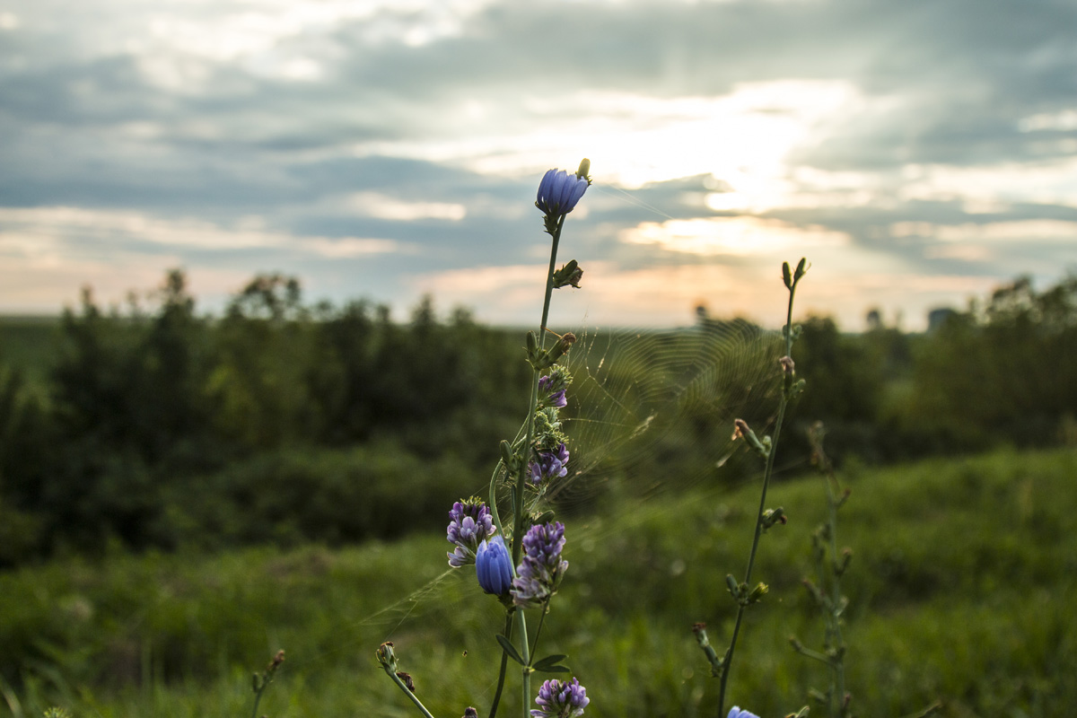 Ha meglátod ezeket a kis magyar falvakat, soha többé nem akarsz városban élni