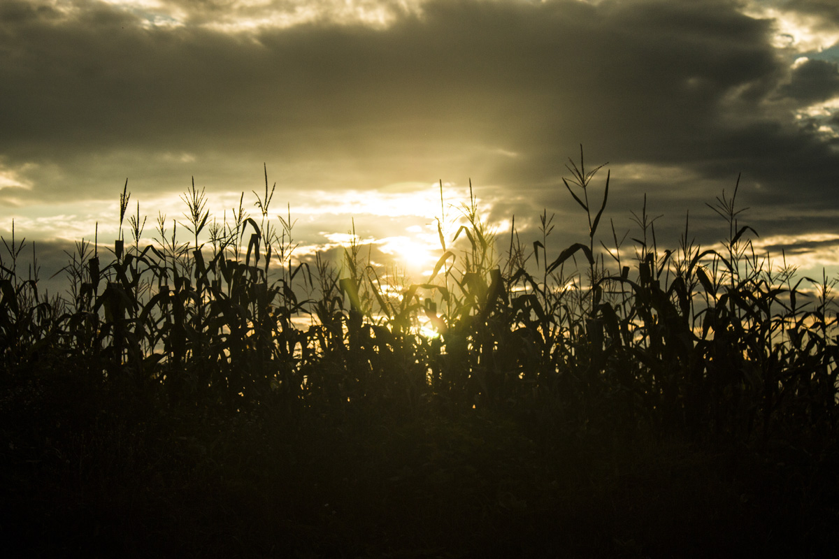 Ha meglátod ezeket a kis magyar falvakat, soha többé nem akarsz városban élni