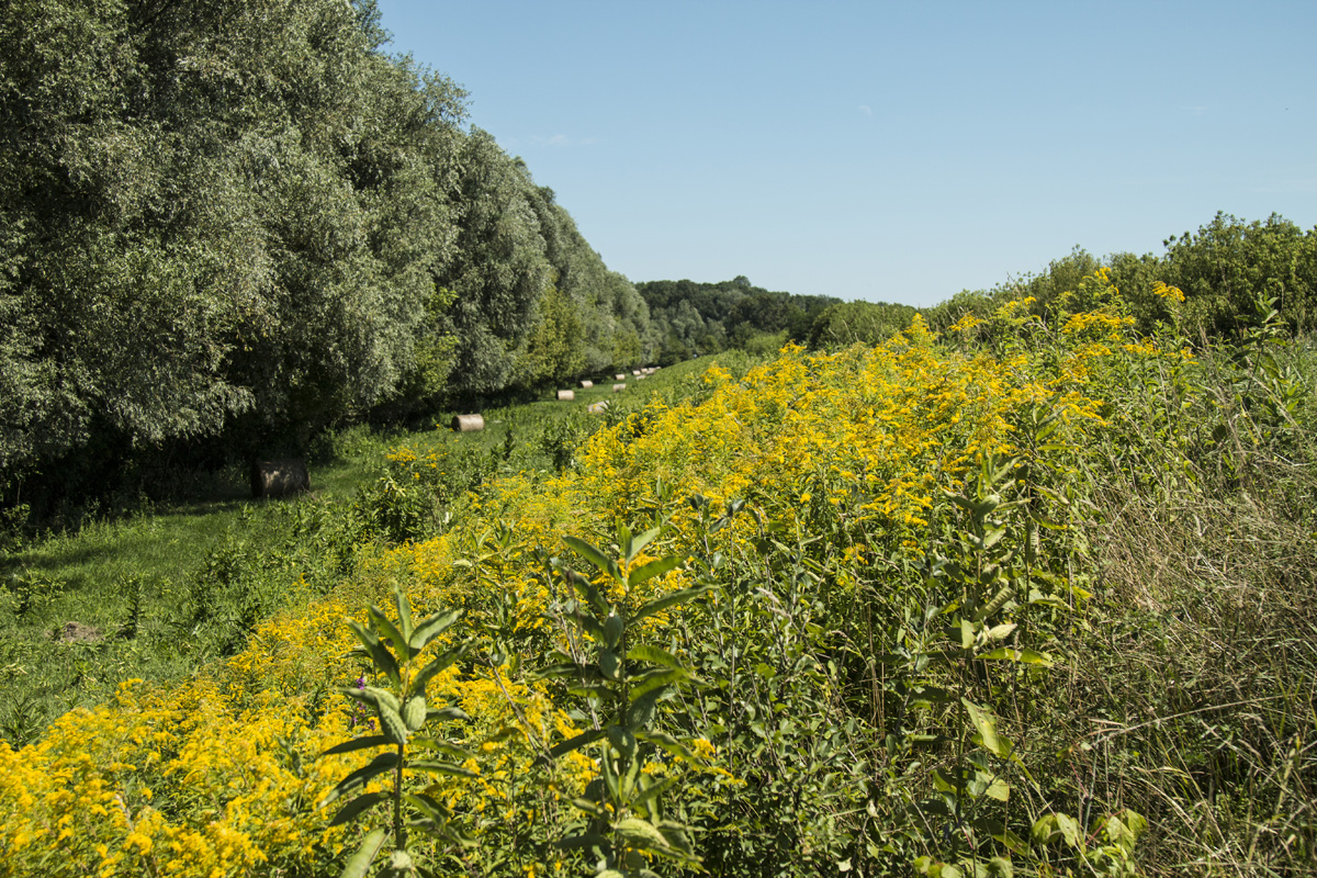 Ha meglátod ezeket a kis magyar falvakat, soha többé nem akarsz városban élni