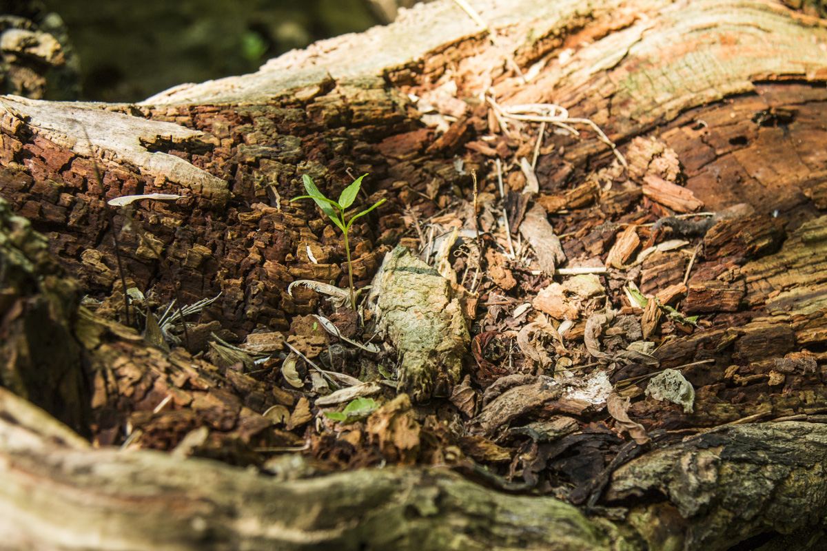 Ha meglátod ezeket a kis magyar falvakat, soha többé nem akarsz városban élni