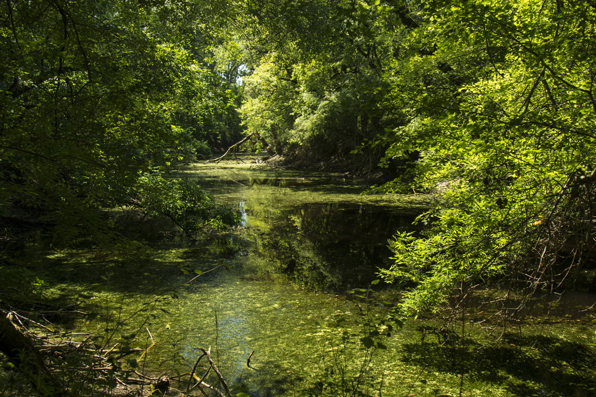 Ha meglátod ezeket a kis magyar falvakat, soha többé nem akarsz városban élni