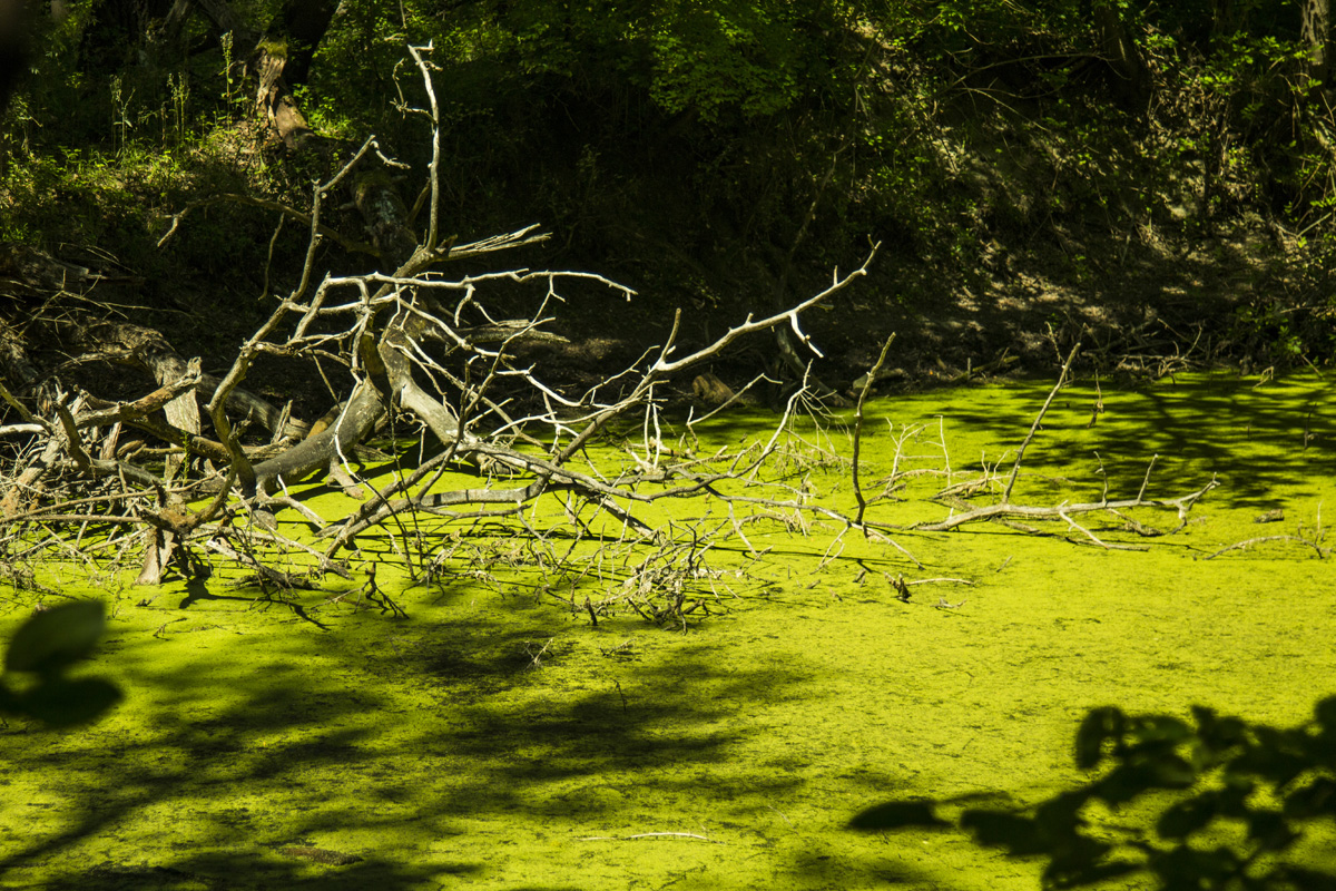 Ha meglátod ezeket a kis magyar falvakat, soha többé nem akarsz városban élni
