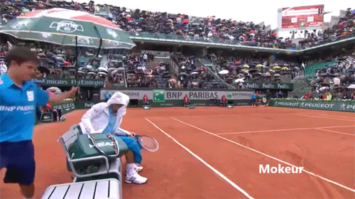 A legjobb idézetek az allergiáról