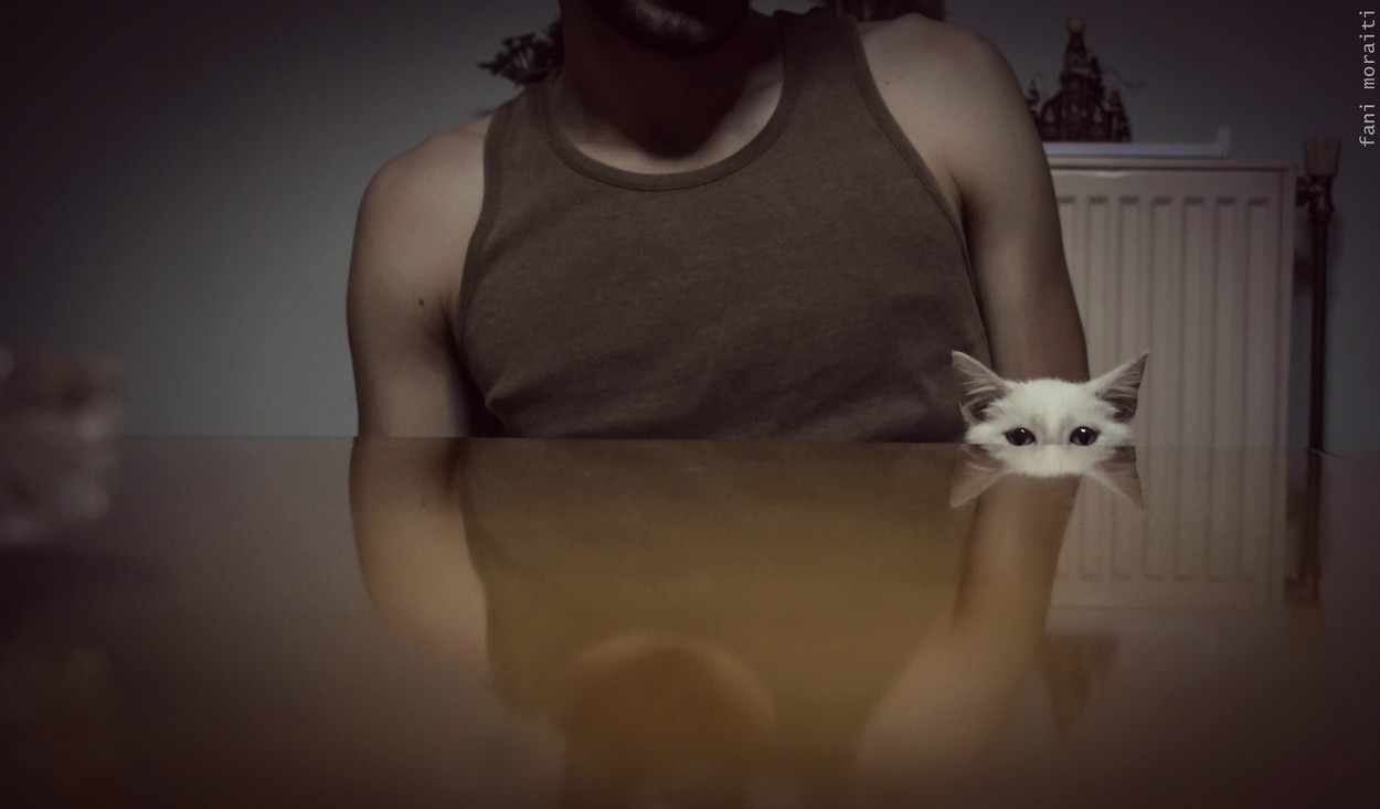 Ezek a legviccesebb állatos fotók az idei Comedy Pet Photography Awards-ról