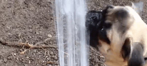 Zivatar és jégeső vet ma véget a brutális hőségnek Zivatar és jégeső vet ma véget a brutális hőségnek