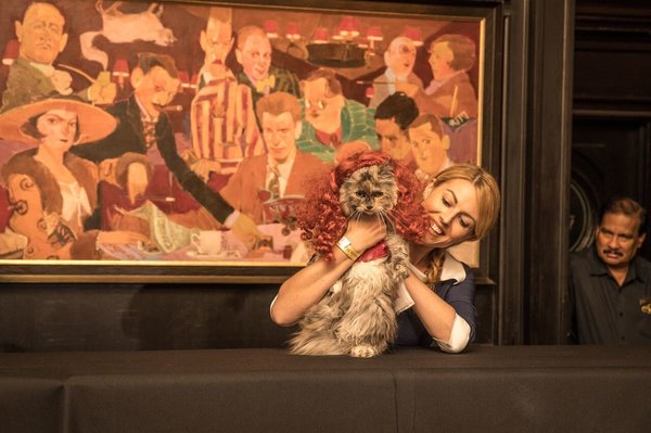 Egy hotel macska divatbemutatót tartott, és igen, csodás volt