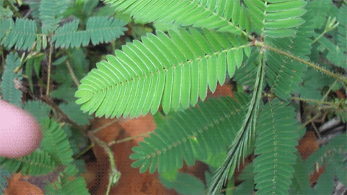 Így javítsd a levegő minőségét az otthonodban, ha allergiás vagy Így javítsd a levegő minőségét az otthonodban, ha allergiás vagy