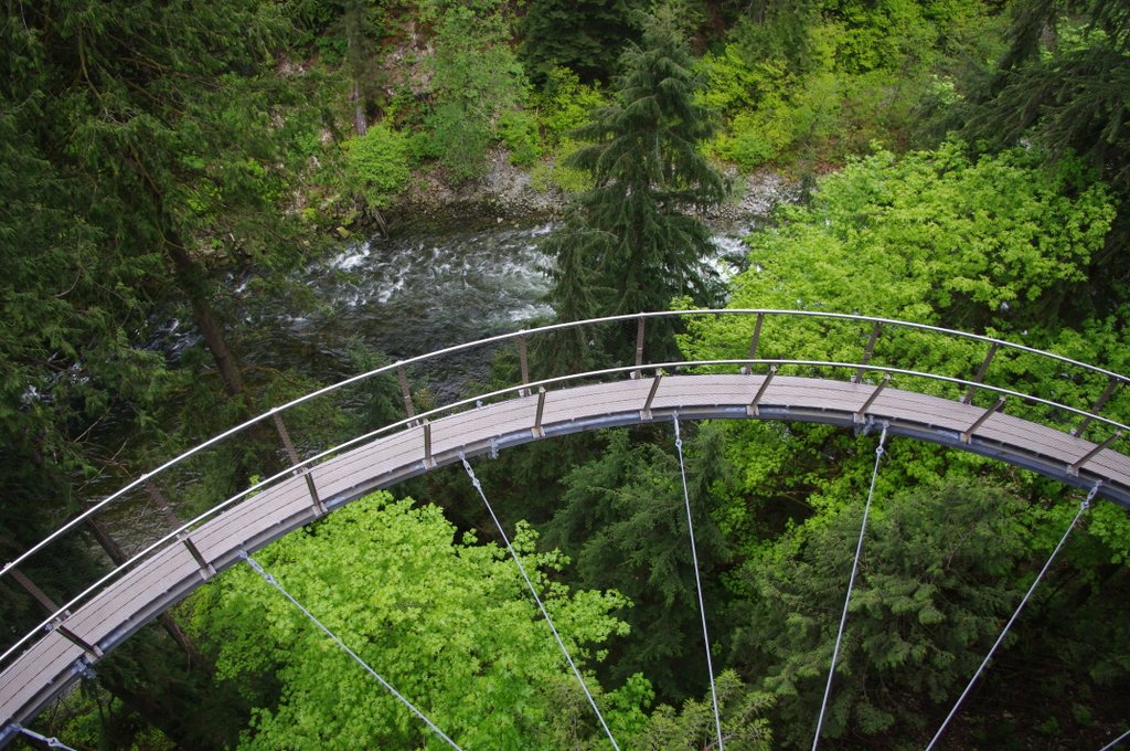 Ha félsz a magasságtól, ez a függőhíd lesz a legrosszabb rémálmod