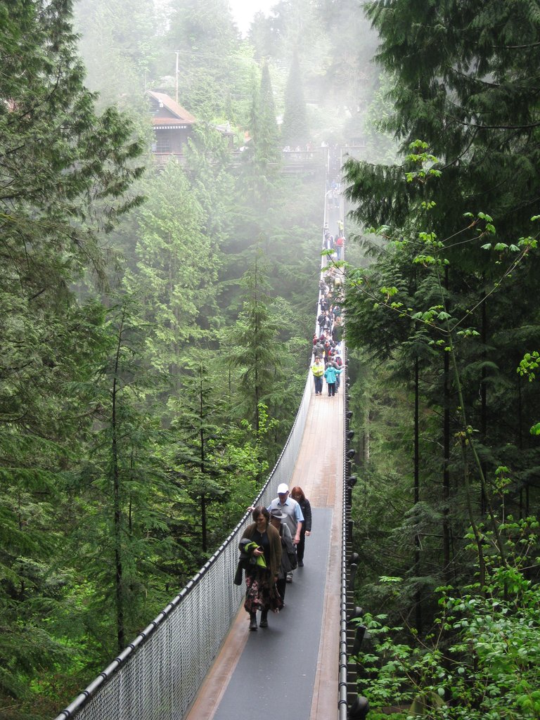 Ha félsz a magasságtól, ez a függőhíd lesz a legrosszabb rémálmod