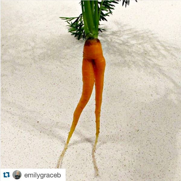 Ételek, amiket a gyerekek a legnevetségesebb okokból nem ettek meg