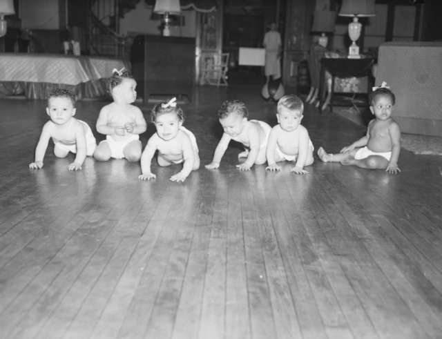 Íme a világ legbizarrabb és leglassabb babaversenye Íme a világ legbizarrabb és leglassabb babaversenye