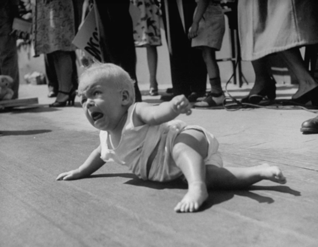 Íme a világ legbizarrabb és leglassabb babaversenye Íme a világ legbizarrabb és leglassabb babaversenye