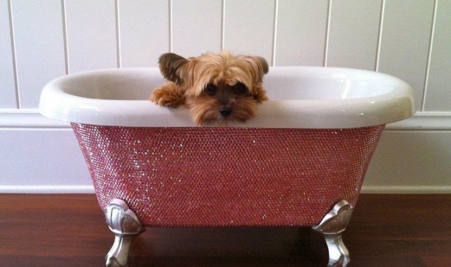 Hétköznapi tárgyak luxuskivitelben