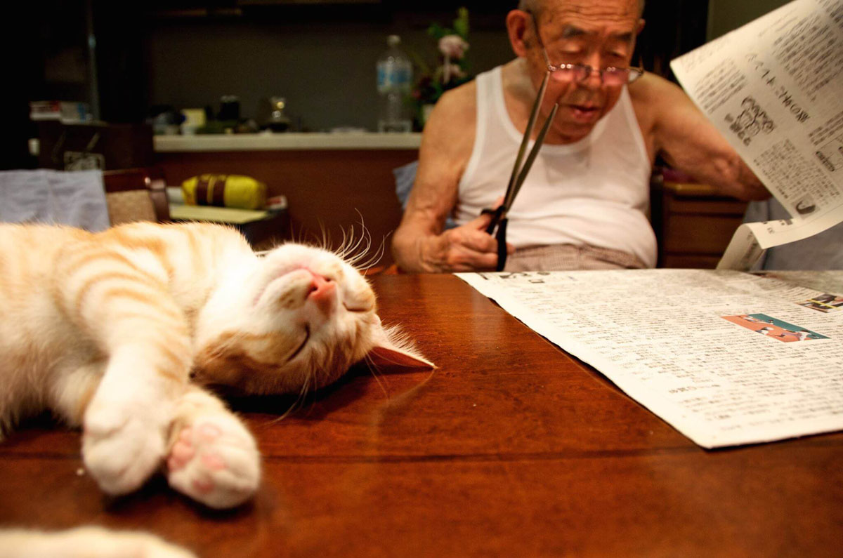 Fotó: Akiko Du Pont