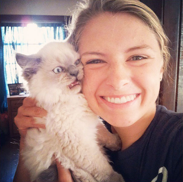 10 macska, aki egyáltalán nem akar szelfizni veled