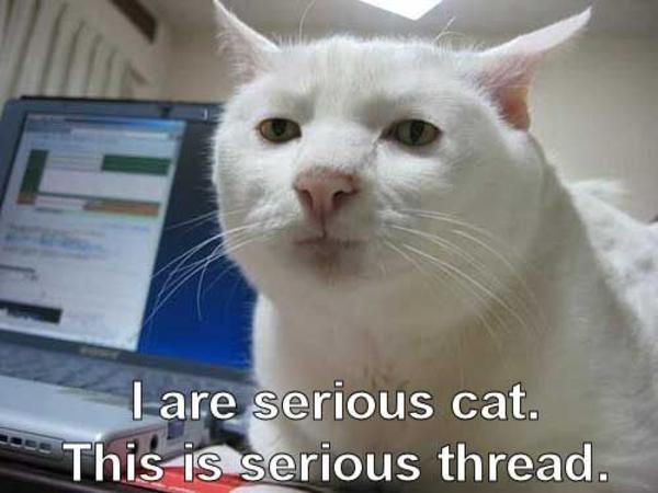 Egy kis komolyságot, ha kérhetem!