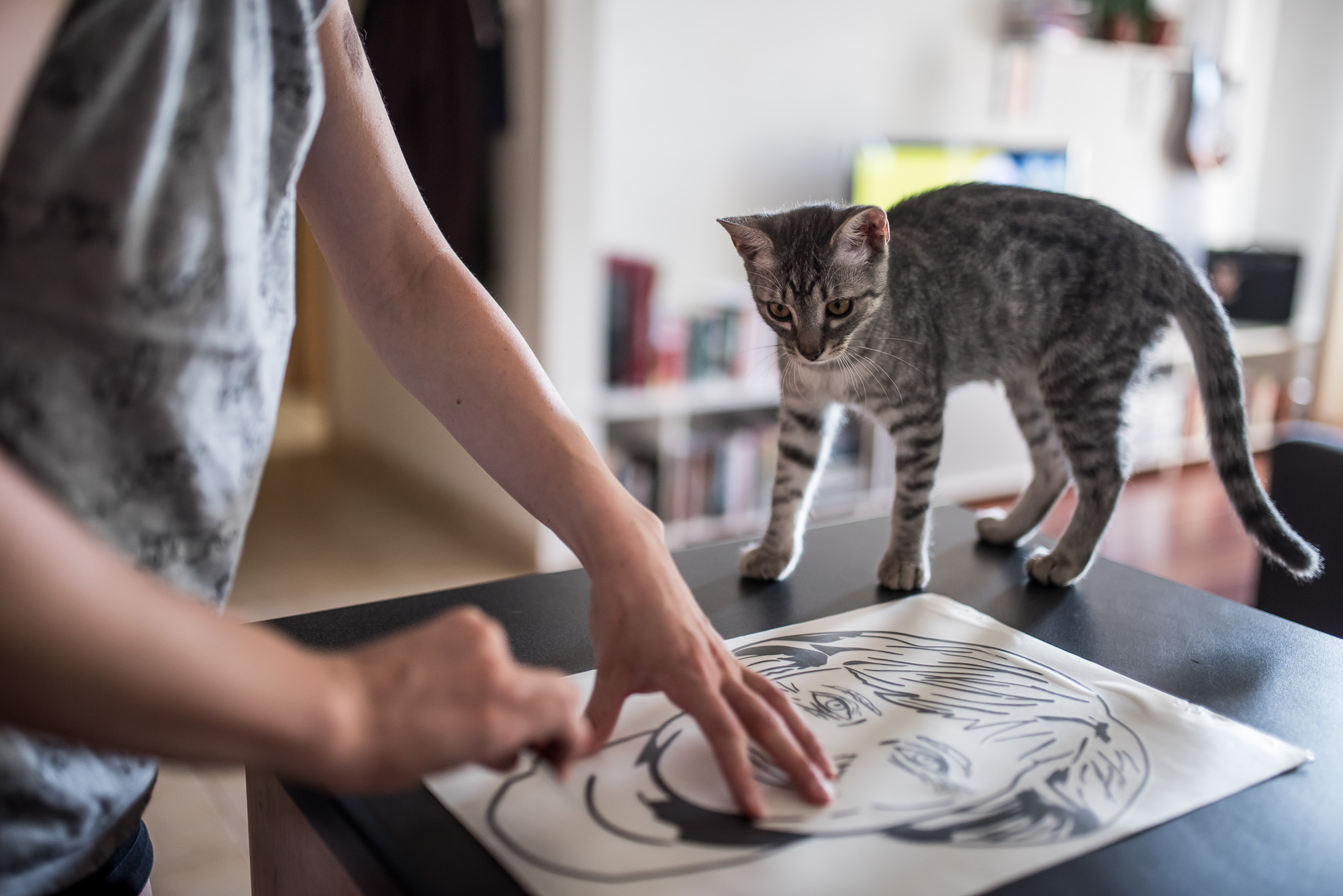 Mióta macskám van, gyógyulok, pedig azt sem tudtam, hogy beteg voltam