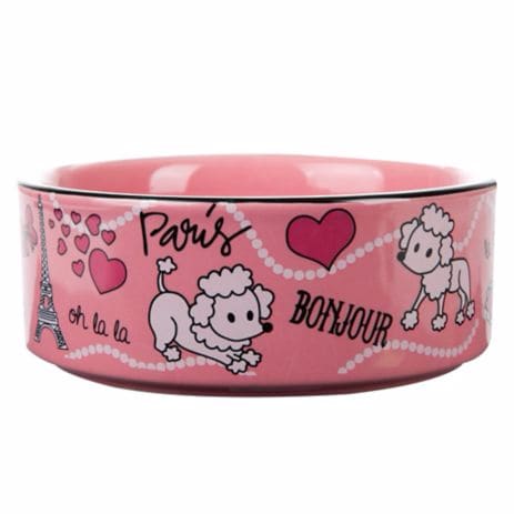 10 szuper ajándék, amit azonnal meg kell venned a kutyádnak