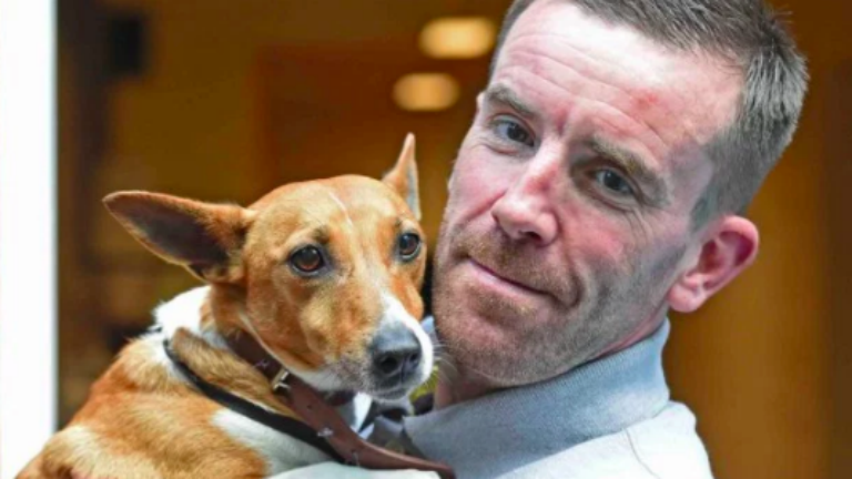 Szerető otthonra talált a kutya, akit gazdája a nyílt utcán rúgott fejen