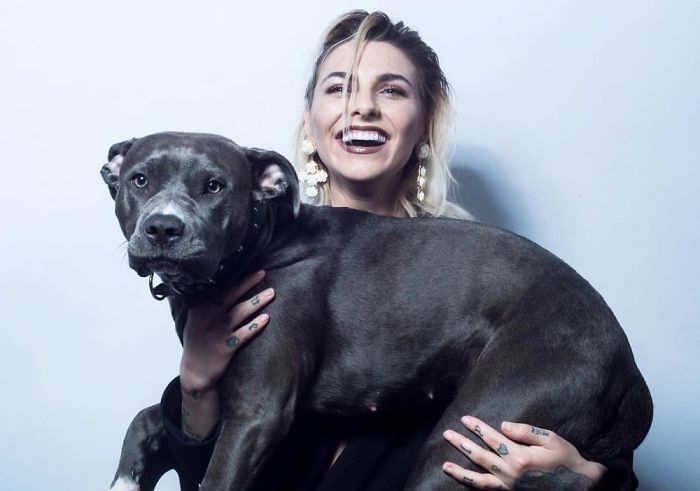 Ezek a hatalmas kutyák még mindig ölebeknek képzelik magukat