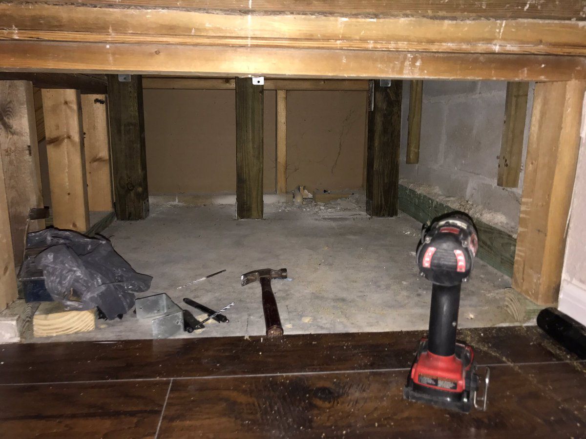 Különbejáratú hálószobát kapott a kutya 