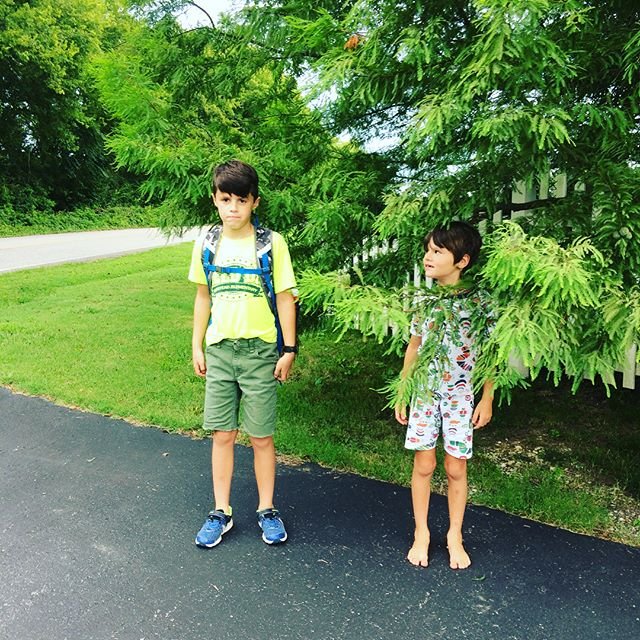 X fotó, ami tökéletesen összefoglalja, hogy éreznek a gyerekek a suli első napján X fotó, ami tökéletesen összefoglalja, hogy éreznek a gyerekek a suli első napján