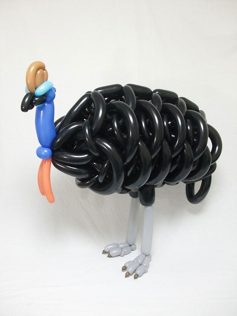 A sisakos kazuár sem tipikus lufiállat (Fotó: isopresso.tumblr.com)