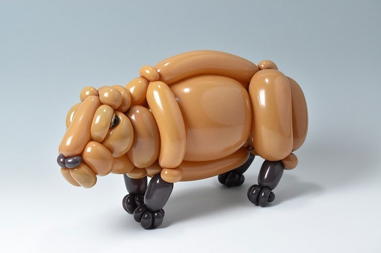 Masayoshi igazi állatbarát, ezért hajtogatott lufiból egy kapibarát (Fotó: isopresso.tumblr.com)