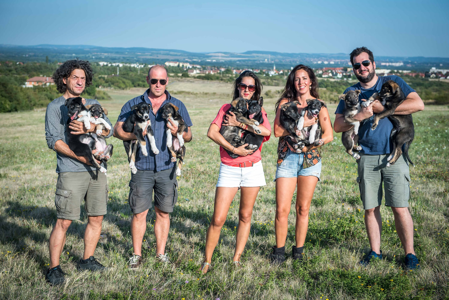Tíz kiskutya összeszedéséhez jó, ha van legalább öt ember