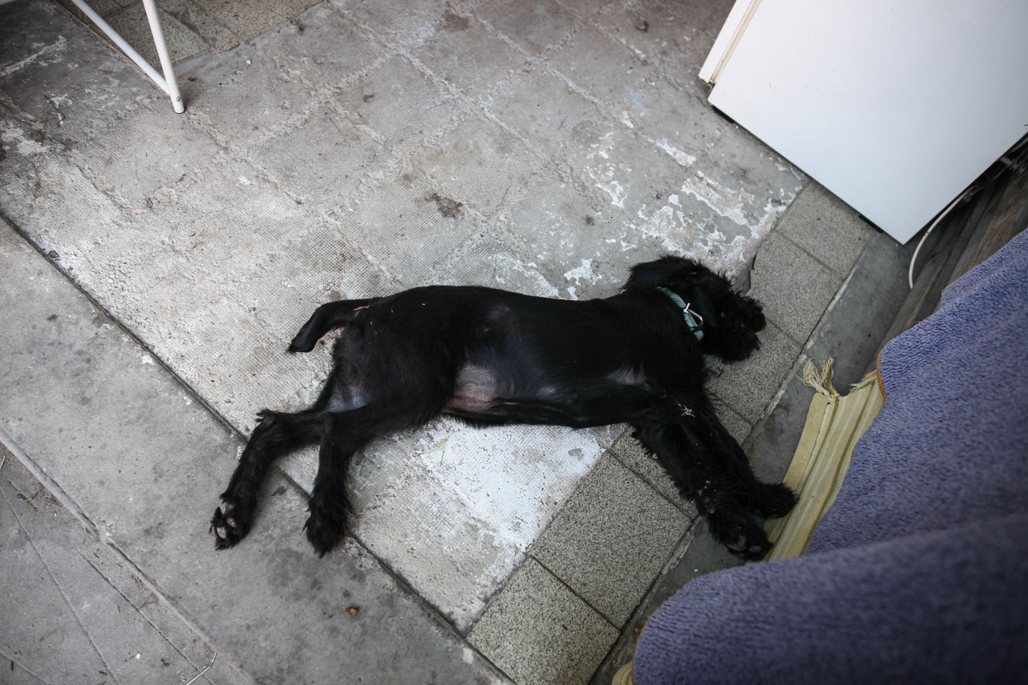 Tanszeradomány iskolakezdéshez