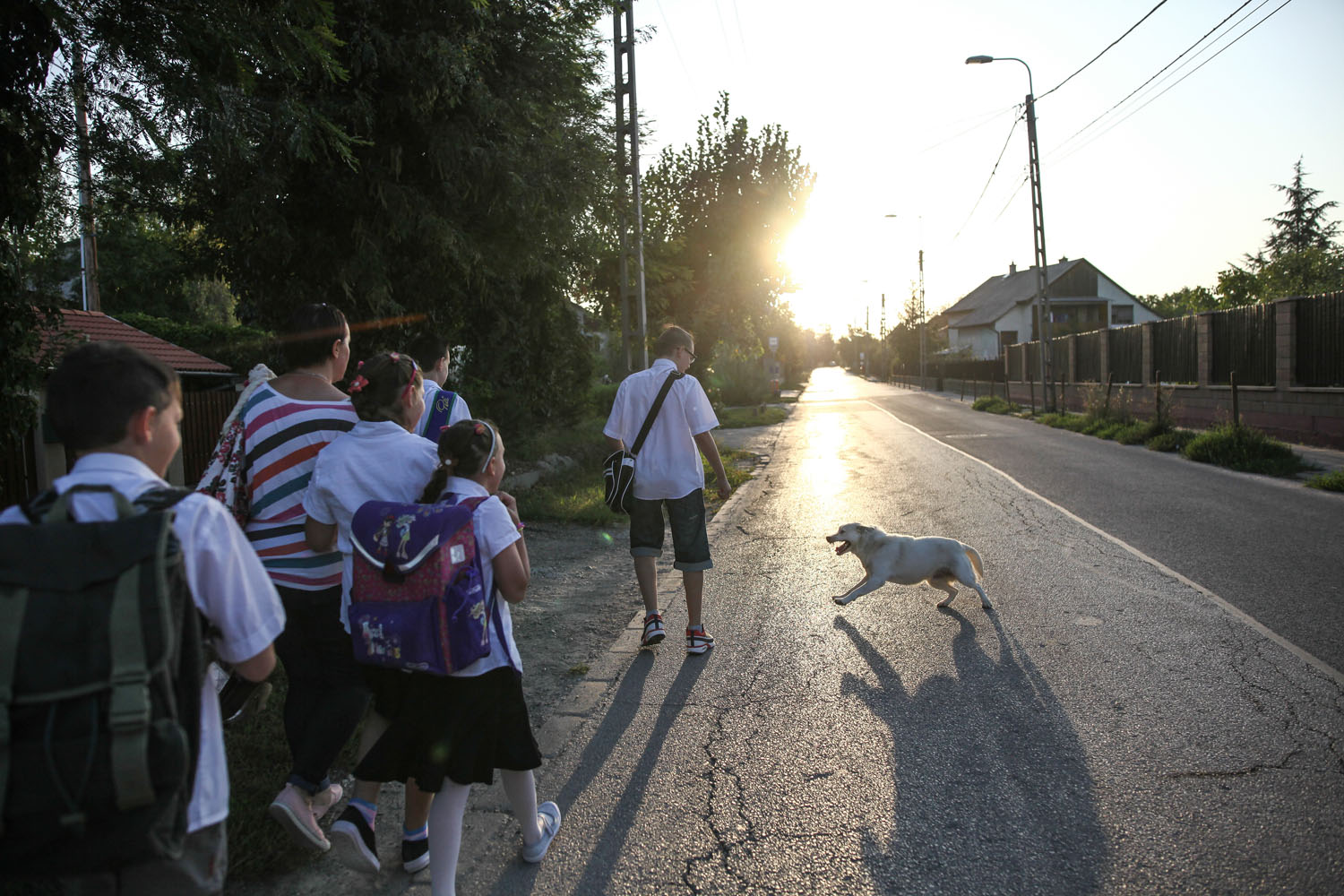 Tanszeradomány iskolakezdéshez