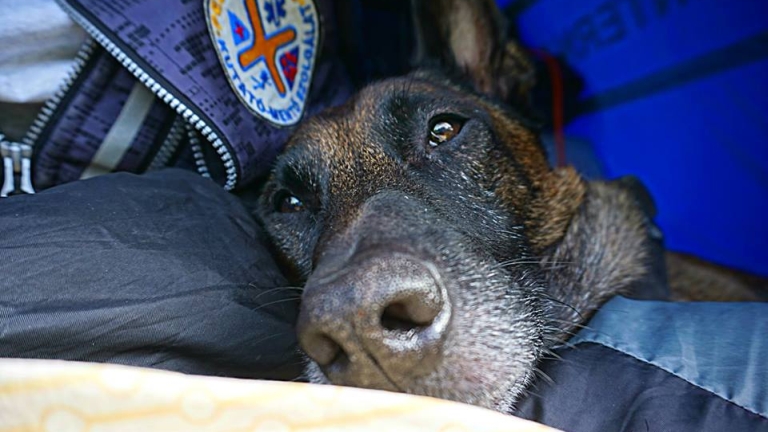 Fotó: Balázs László