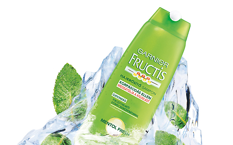 Garnier Fructis Mentol Fresh – 629 Ft