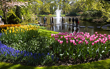 A Keukenhof park tulipánjairól világhíres