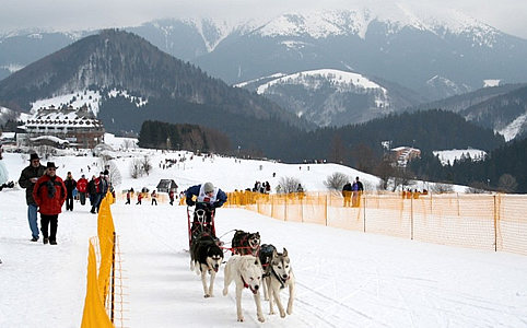 Donovaly - Kutyafogat verseny (Fotó: Slovakia Tourism)