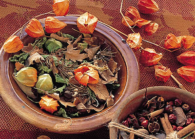 A lampiontermések kellemes színfoltjai az őszi potpourrinak