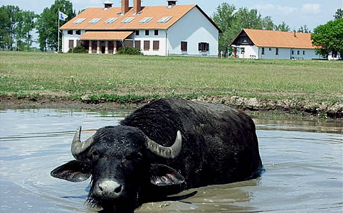 Réhelyi Látogatóközpont (Fotó: Széll Antal)
